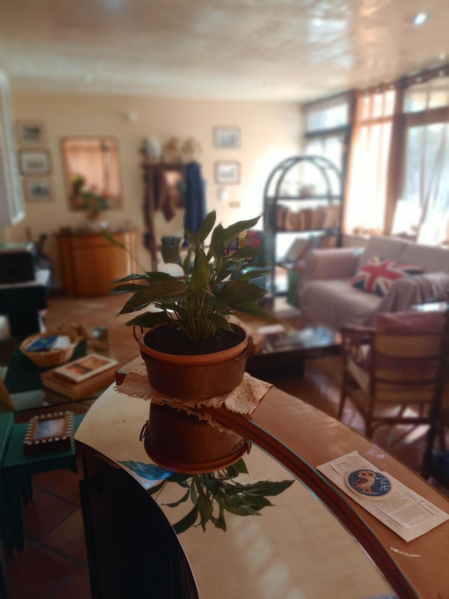 Casa Di Luca Bed & Breakfast Agrigento Ngoại thất bức ảnh